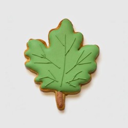 Biscuit décoré - Feuille verte