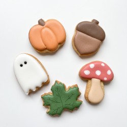 Sachet de 5 miniscuitises - Biscuits décorés