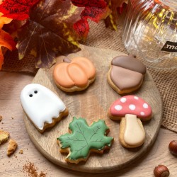 Sachet de 5 miniscuitises - Biscuits décorés