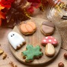 Sachet de 5 miniscuitises - Biscuits décorés